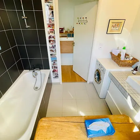 Apartment Mosaic Furnished Flat