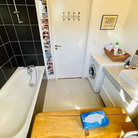 Mosaic Furnished Flat Daire *